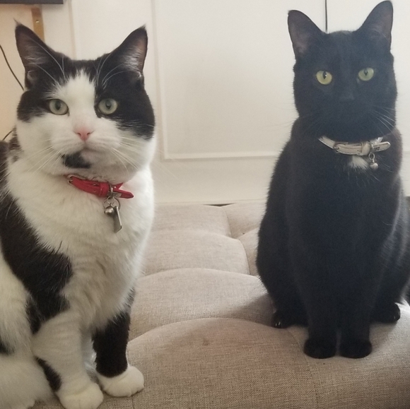 High-quality goods for a fraction of the price! - Picture 2 of 4